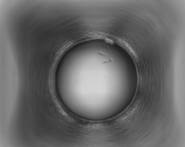 X0000115390433200911101455