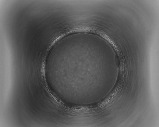 X0000115390434200911101455