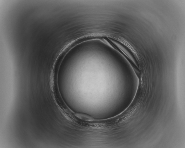 X0000115390436200911101455