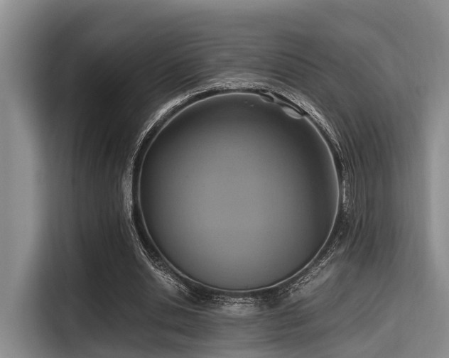 X0000115390438200911101455