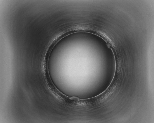 X0000115390439200911101455