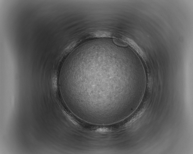 X0000115390441200911101455