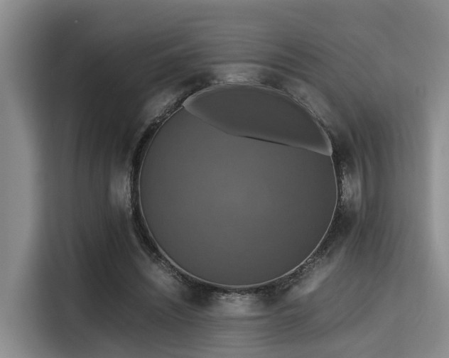 X0000115390444200911101455