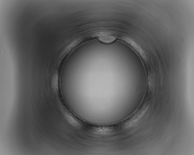 X0000115390445200911101455