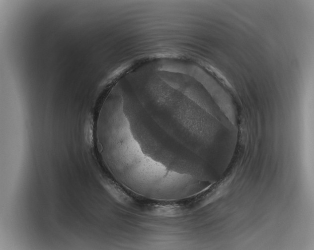 X0000115390446200911101455