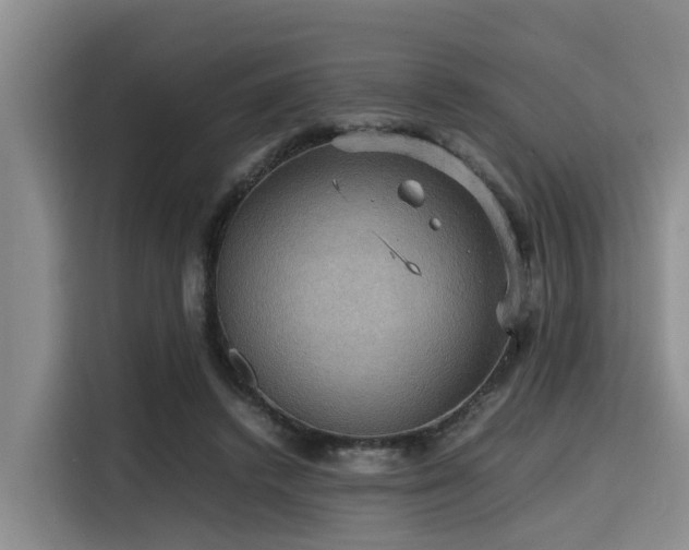 X0000115390448200911101455