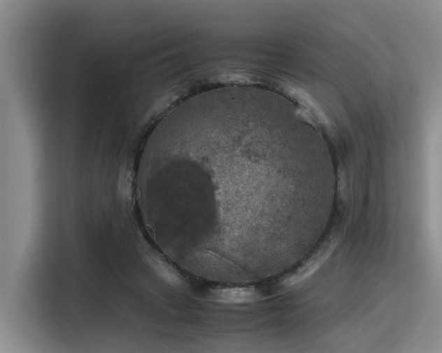 X0000115390449200911101455