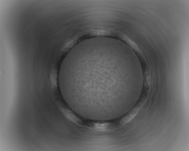 X0000115390450200911101455