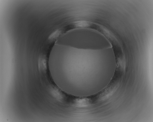 X0000115390452200911101455