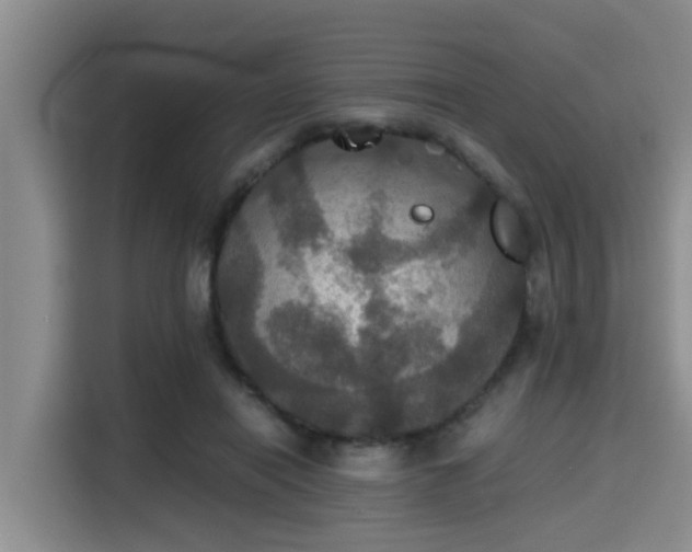 X0000115390454200911101455