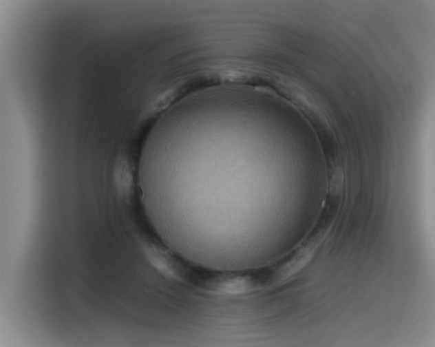 X0000115390456200911101455