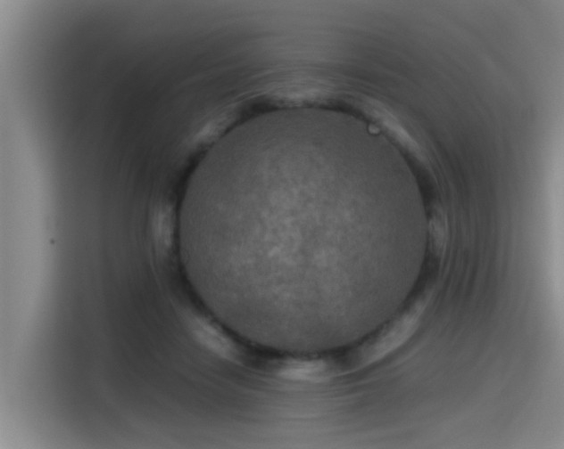 X0000115390458200911101455
