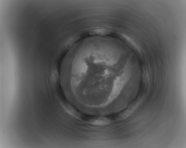X0000115390459200911101456