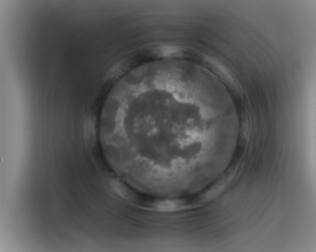 X0000115390461200911101456