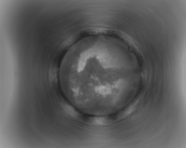 X0000115390462200911101456