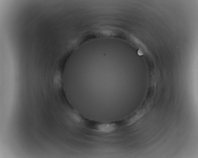 X0000115390465200911101456
