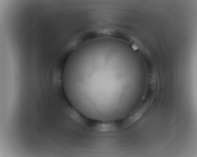 X0000115390466200911101456