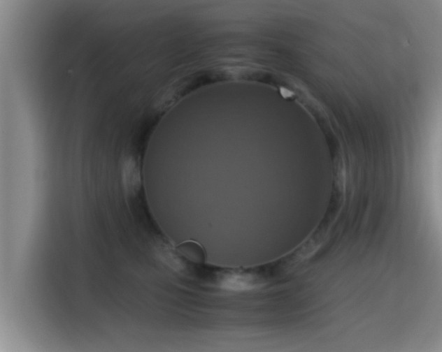 X0000115390471200911101456