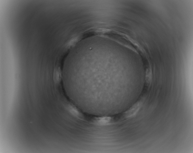 X0000115390474200911101456