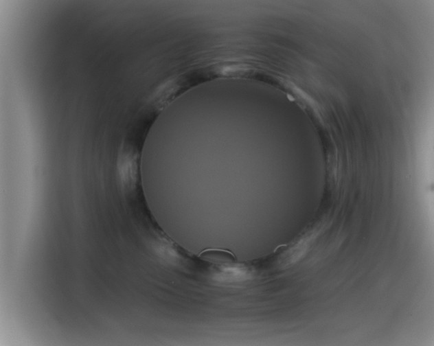 X0000115390475200911101456