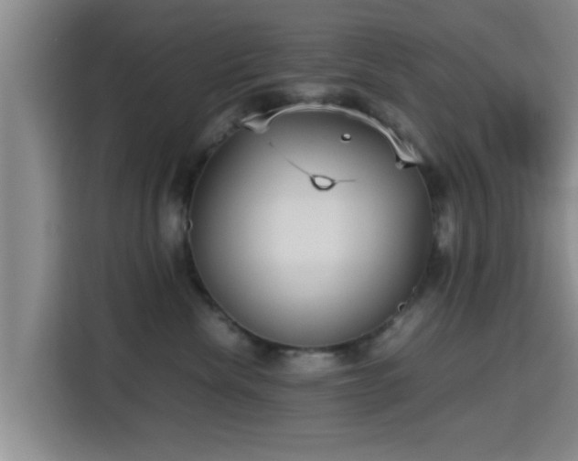 X0000115390476200911101456