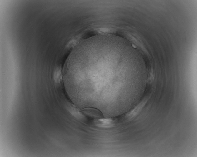 X0000115390478200911101456