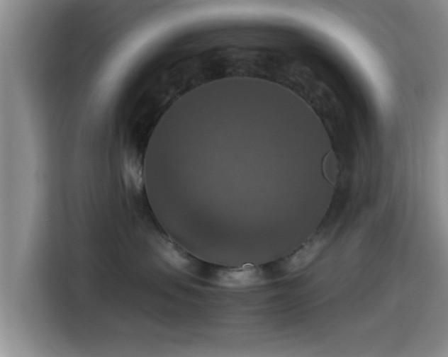 X0000115390479200911101456