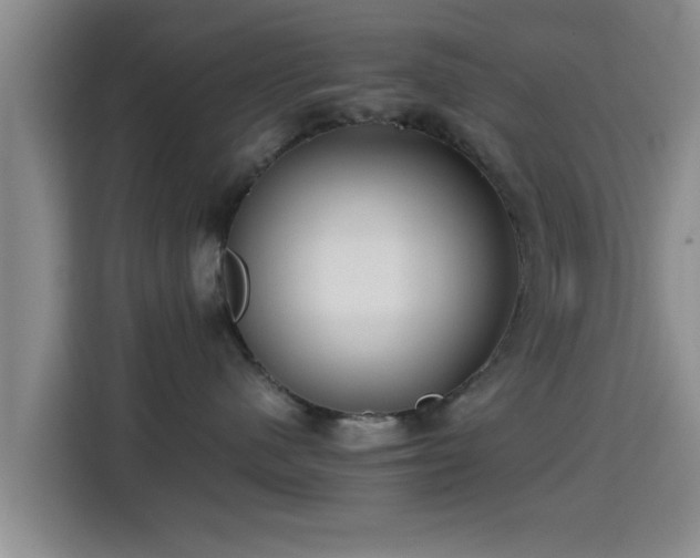 X0000115390480200911101456