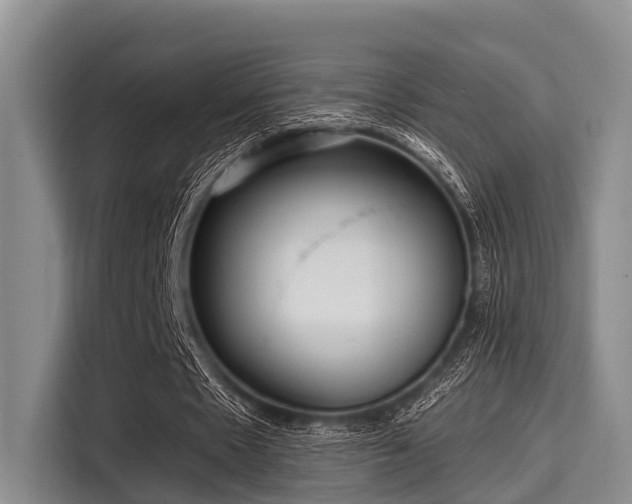 X0000115390481200911101455