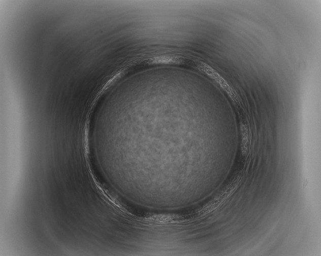 X0000115390482200911101455