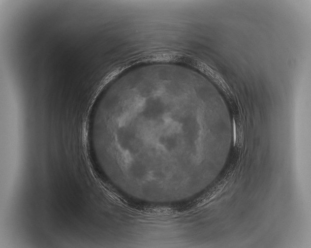 X0000115390483200911101455