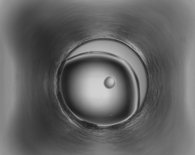 X0000115390485200911101455