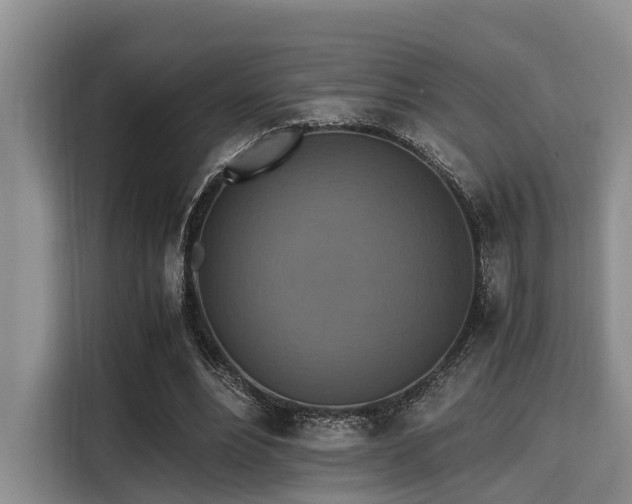 X0000115390488200911101455
