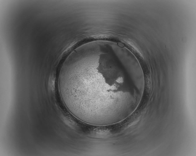 X0000115390491200911101455