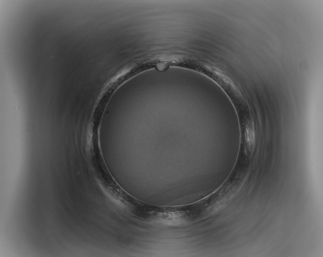 X0000115390492200911101455