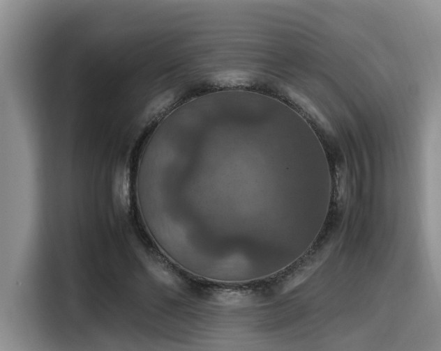 X0000115390494200911101455