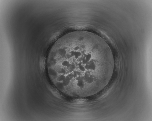 X0000115390495200911101455