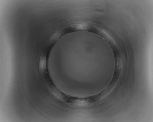 X0000115390502200911101455