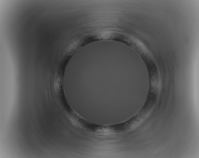 X0000115390503200911101455