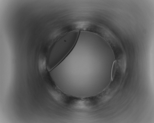 X0000115390504200911101455