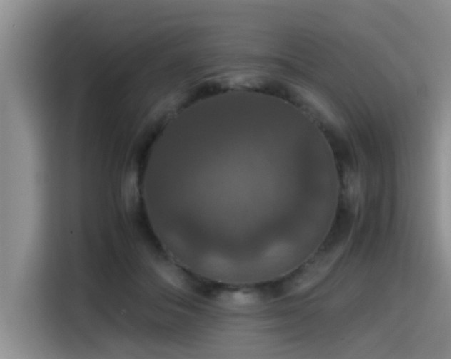 X0000115390506200911101455