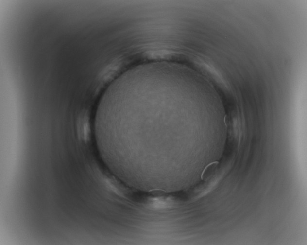 X0000115390508200911101455