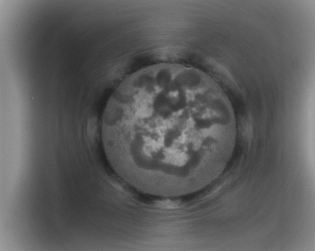 X0000115390511200911101455
