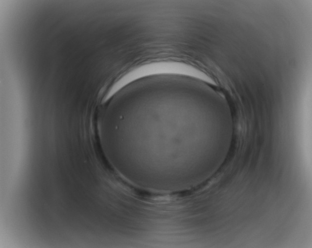 X0000115390516200911101455