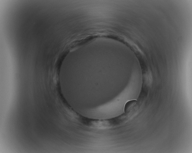 X0000115390517200911101455