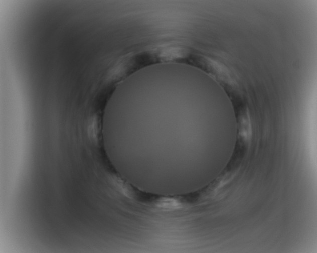 X0000115390519200911101455