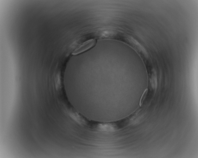 X0000115390520200911101455