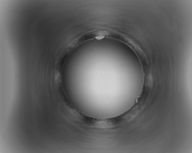 X0000115390521200911101455