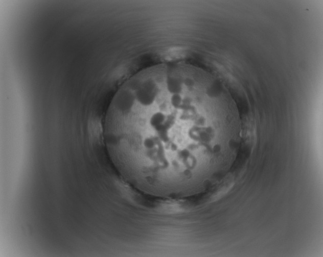 X0000115390523200911101455