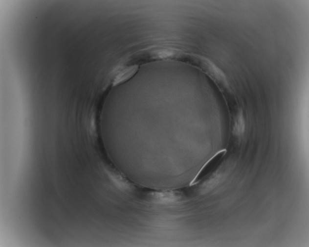 X0000115390524200911101455